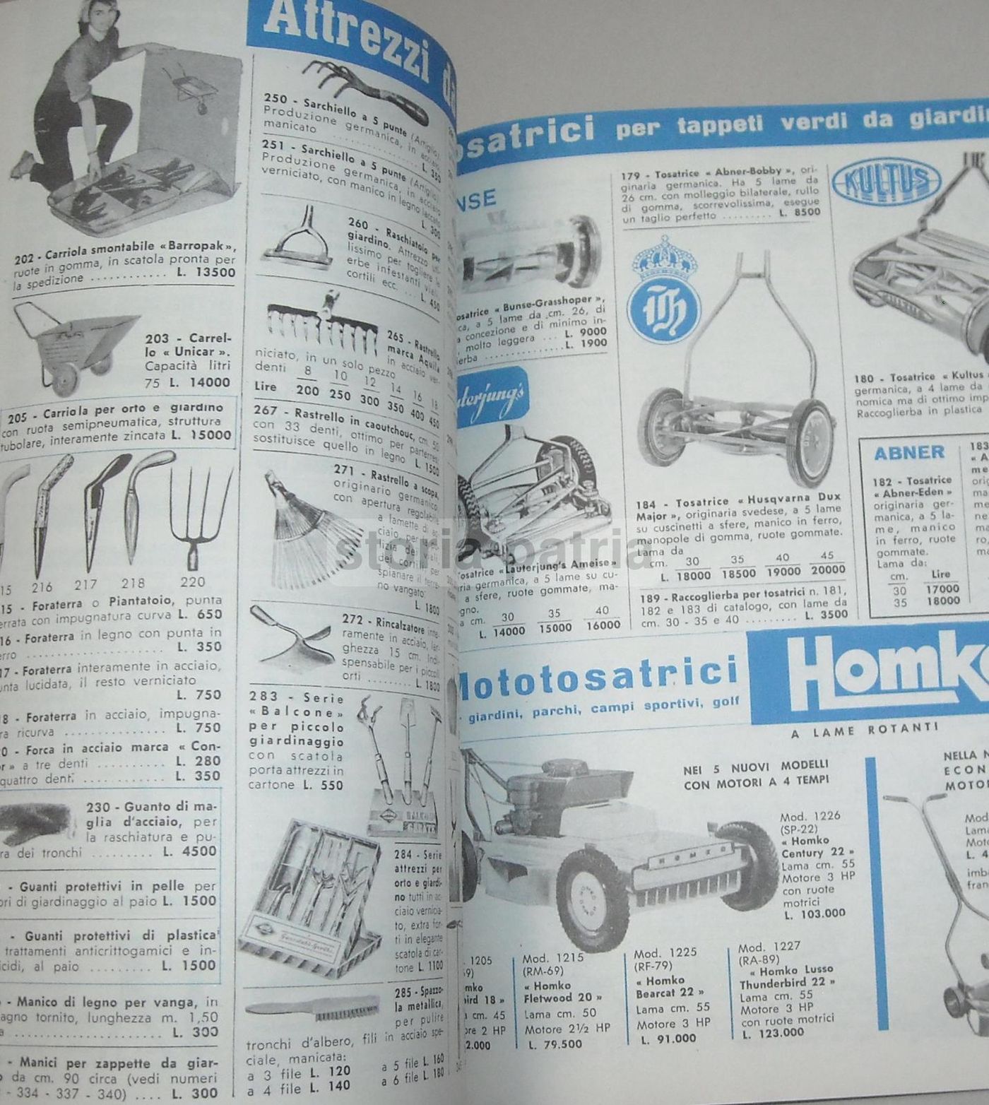 Catalogo Fratelli Ingegnoli 1960 Sementi Fiori Piante Ortaggi