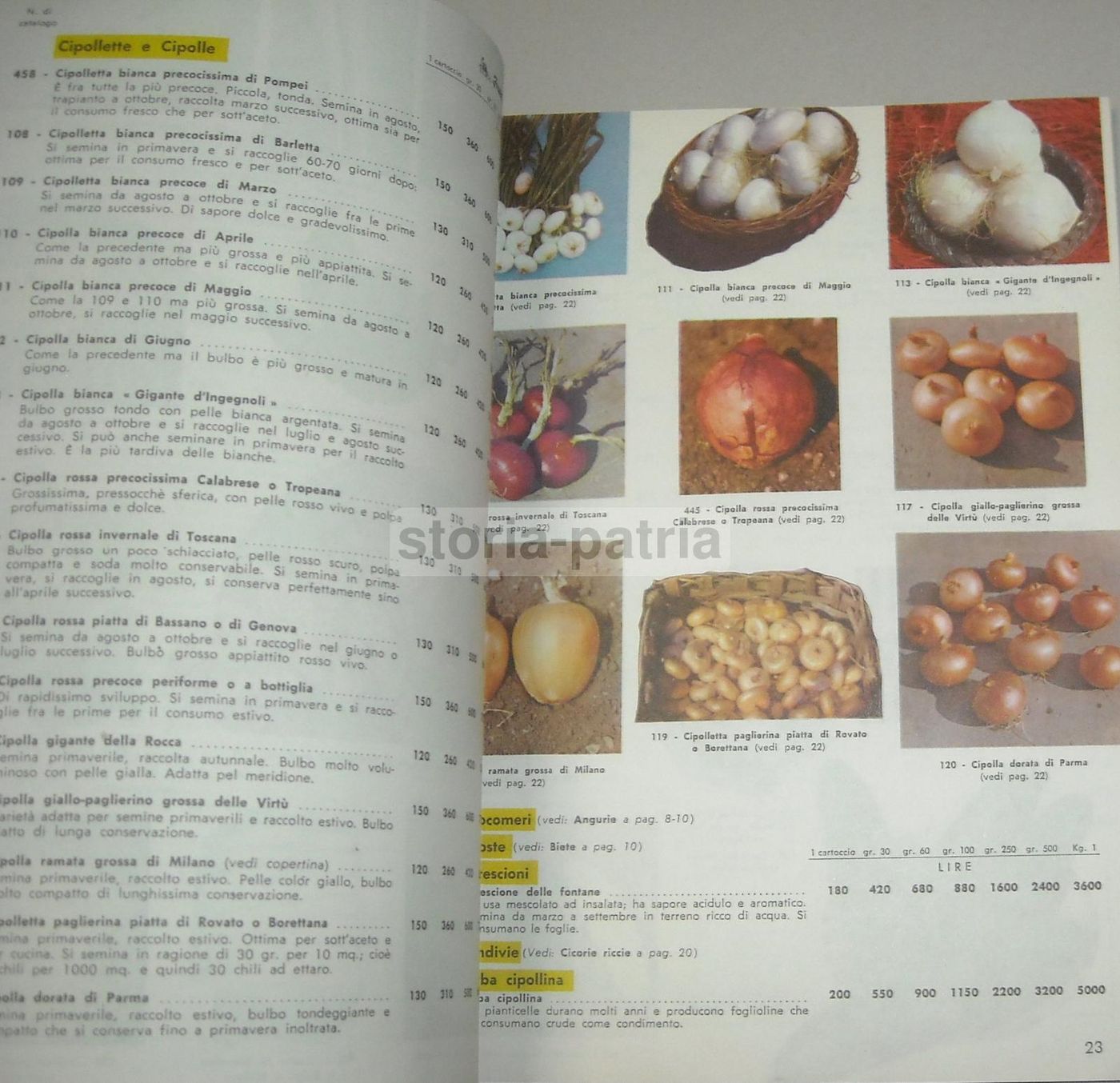 Catalogo Fratelli Ingegnoli 1960 Sementi Fiori Piante Ortaggi