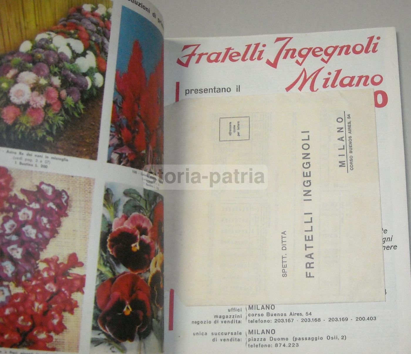 Catalogo Fratelli Ingegnoli 1960 Sementi Fiori Piante Ortaggi