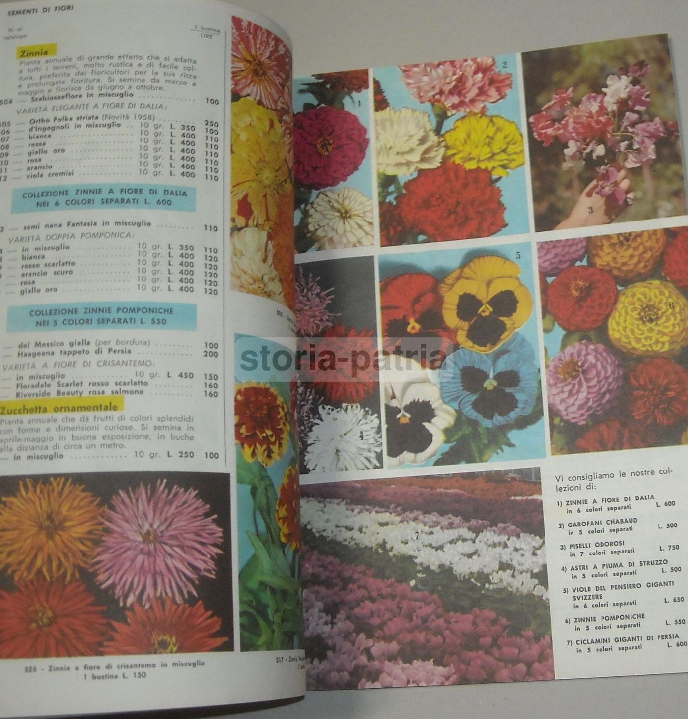 Catalogo Fratelli Ingegnoli 1960 Sementi Fiori Piante Ortaggi