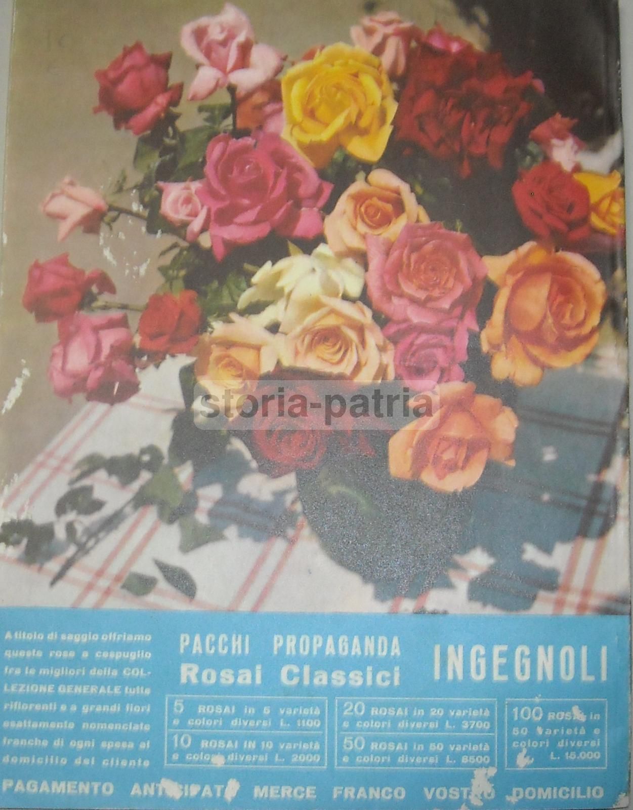 Catalogo Fratelli Ingegnoli 1960 Sementi Fiori Piante Ortaggi