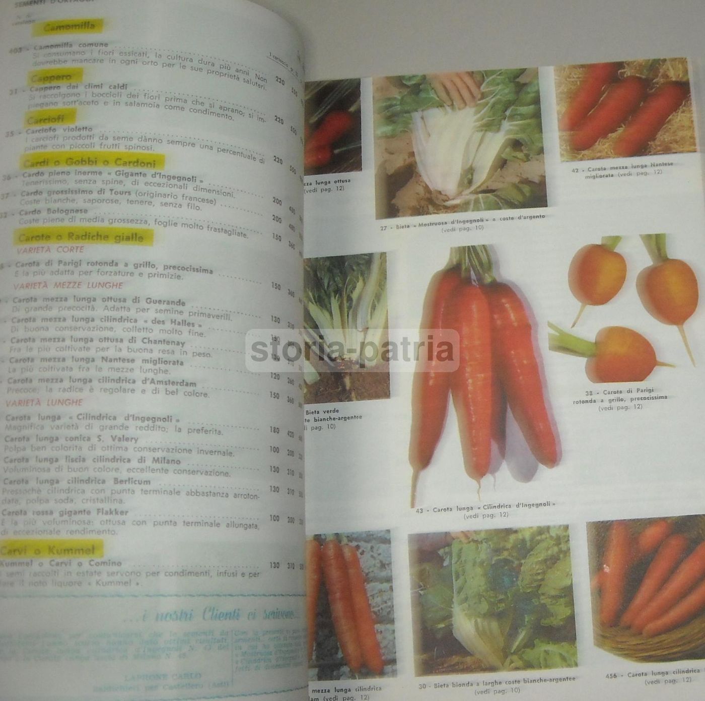 Catalogo Fratelli Ingegnoli 1960 Sementi Fiori Piante Ortaggi