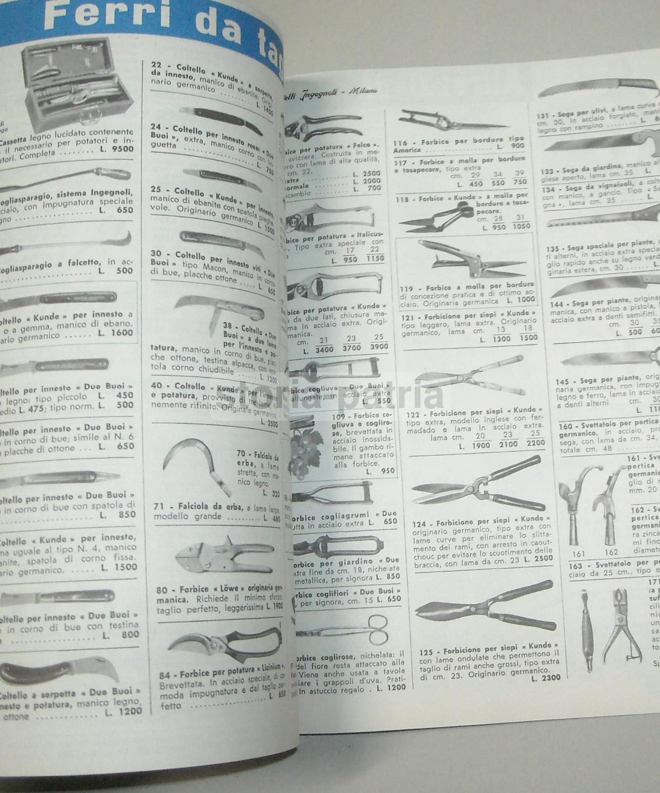 Catalogo Fratelli Ingegnoli 1960 Sementi Fiori Piante Ortaggi