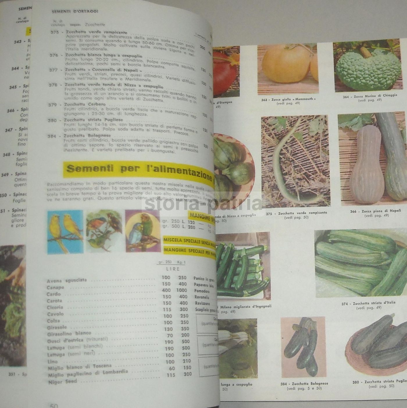 Catalogo Fratelli Ingegnoli 1960 Sementi Fiori Piante Ortaggi