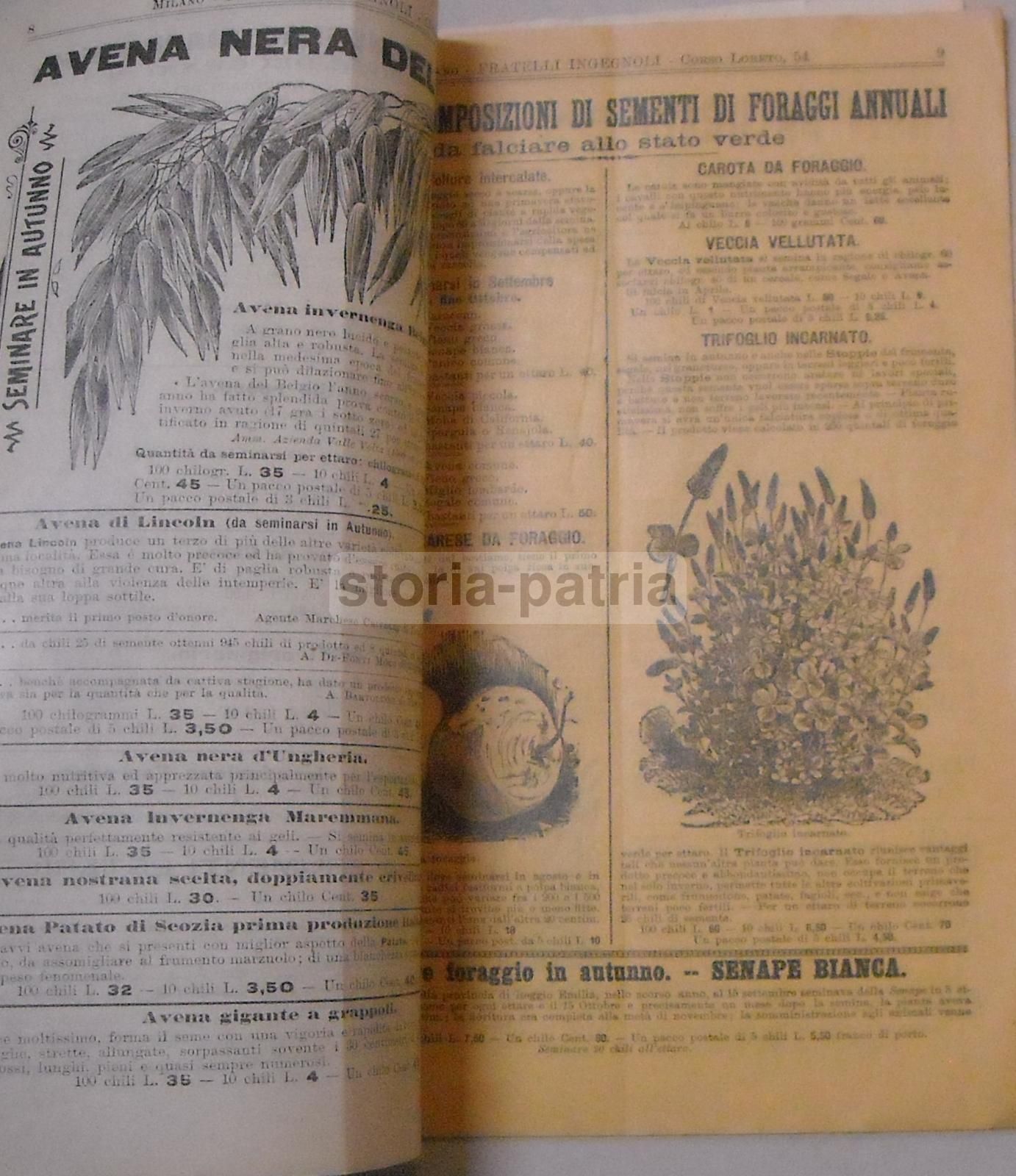 Catalogo Sementi Fratelli Ingegnoli 1902 Frumento Fucense Milano