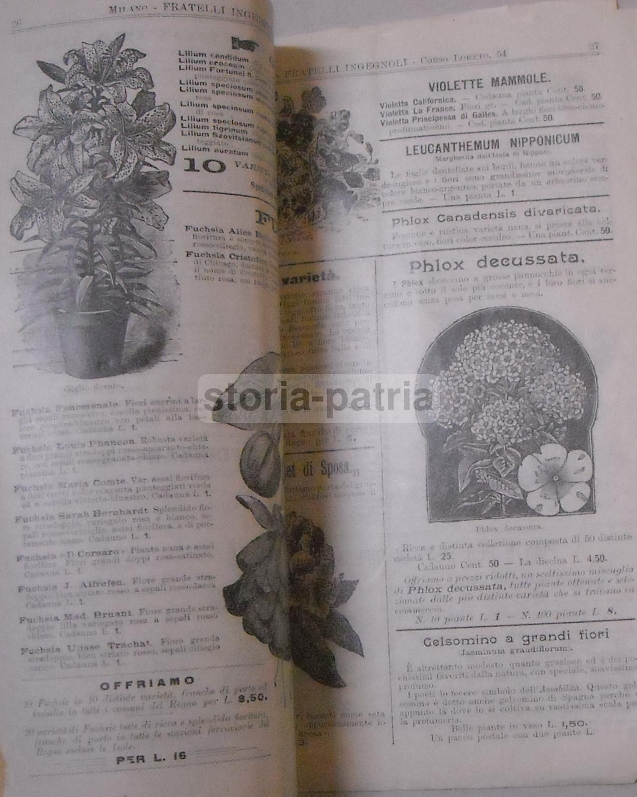 Catalogo Sementi Fratelli Ingegnoli 1902 Frumento Fucense Milano