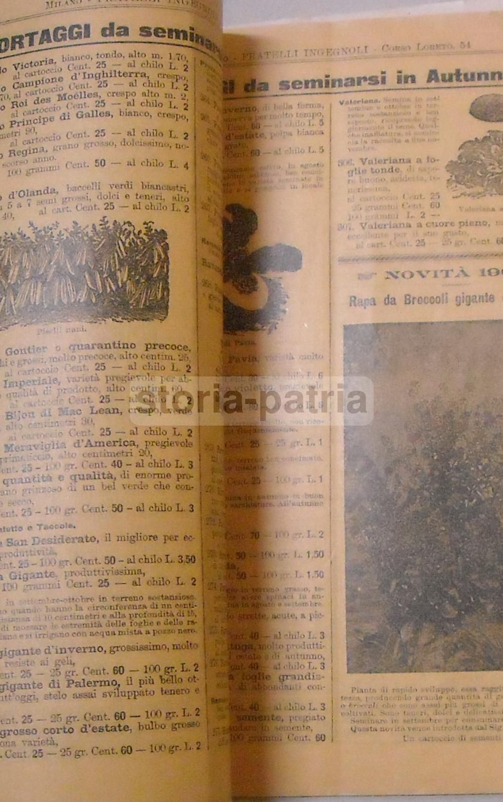 Catalogo Sementi Fratelli Ingegnoli 1902 Frumento Fucense Milano
