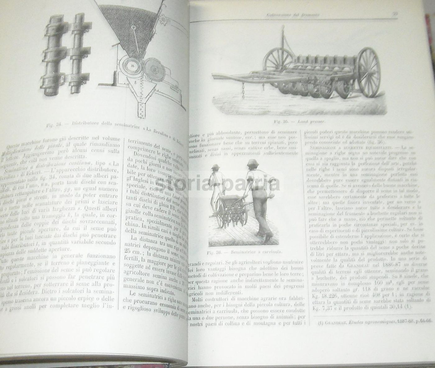 Coltivazione Dei Cereali 1931 UTET Marro Succi Frumento Mais Orzo