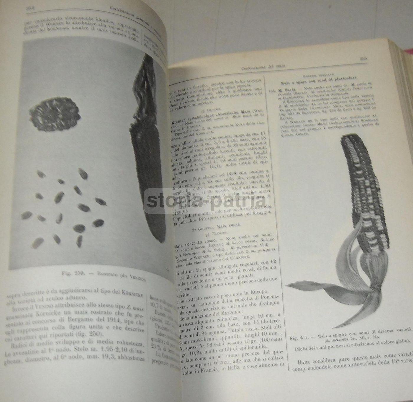 Coltivazione Dei Cereali 1931 UTET Marro Succi Frumento Mais Orzo