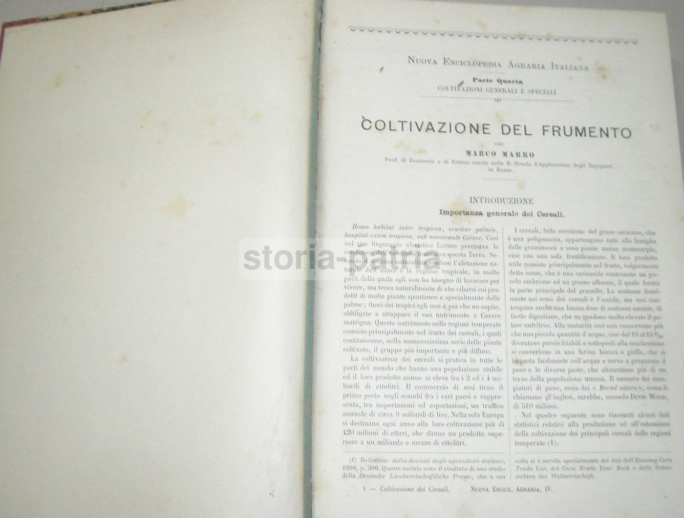 Coltivazione Dei Cereali 1931 UTET Marro Succi Frumento Mais Orzo