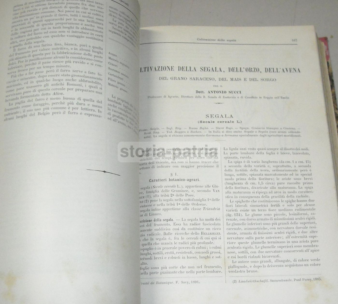 Coltivazione Dei Cereali 1931 UTET Marro Succi Frumento Mais Orzo
