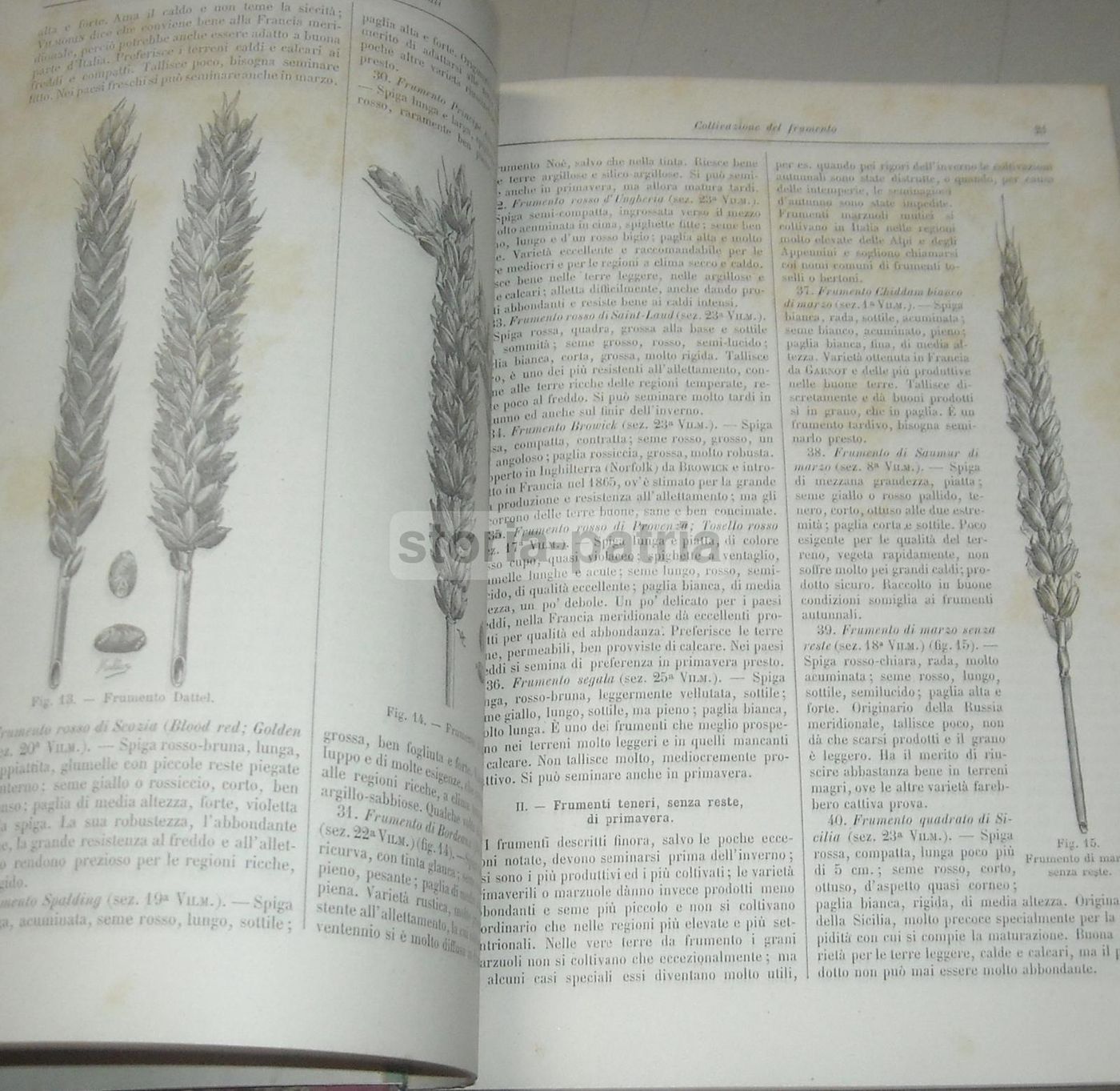 Coltivazione Dei Cereali 1931 UTET Marro Succi Frumento Mais Orzo