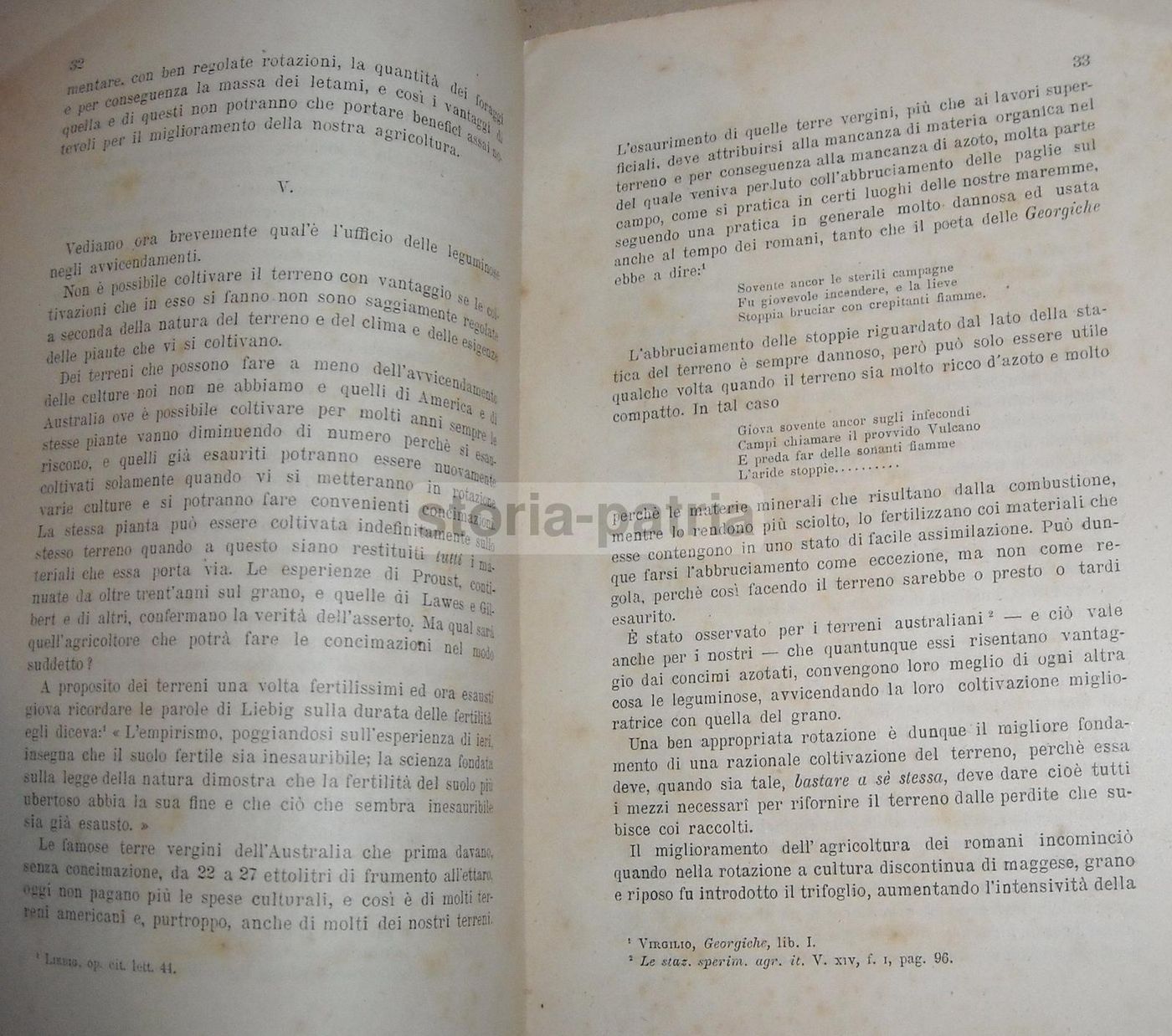Bruttini Sulle Leguminose Piante Miglioratrici. Firenze, 1892.