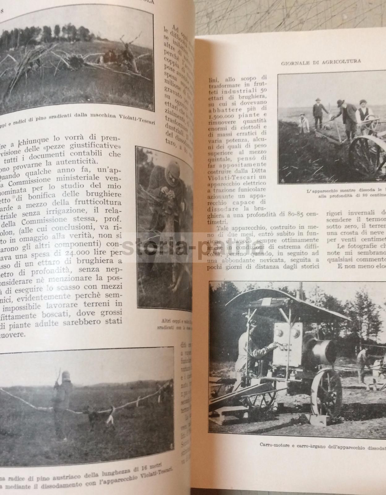 L'Italia Agricola 1930: Elettricità E Agricoltura (Sicilia, Puglia, Basilicata)