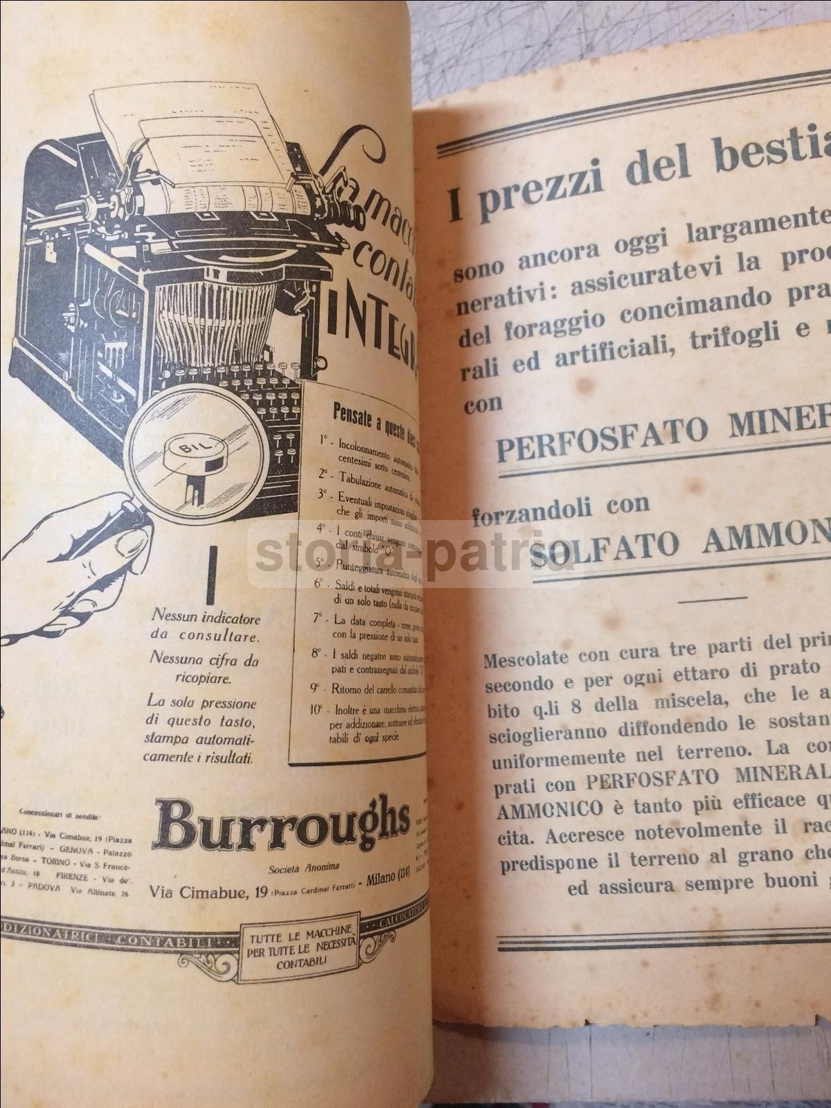 L'Italia Agricola 1930: Elettricità E Agricoltura (Sicilia, Puglia, Basilicata)