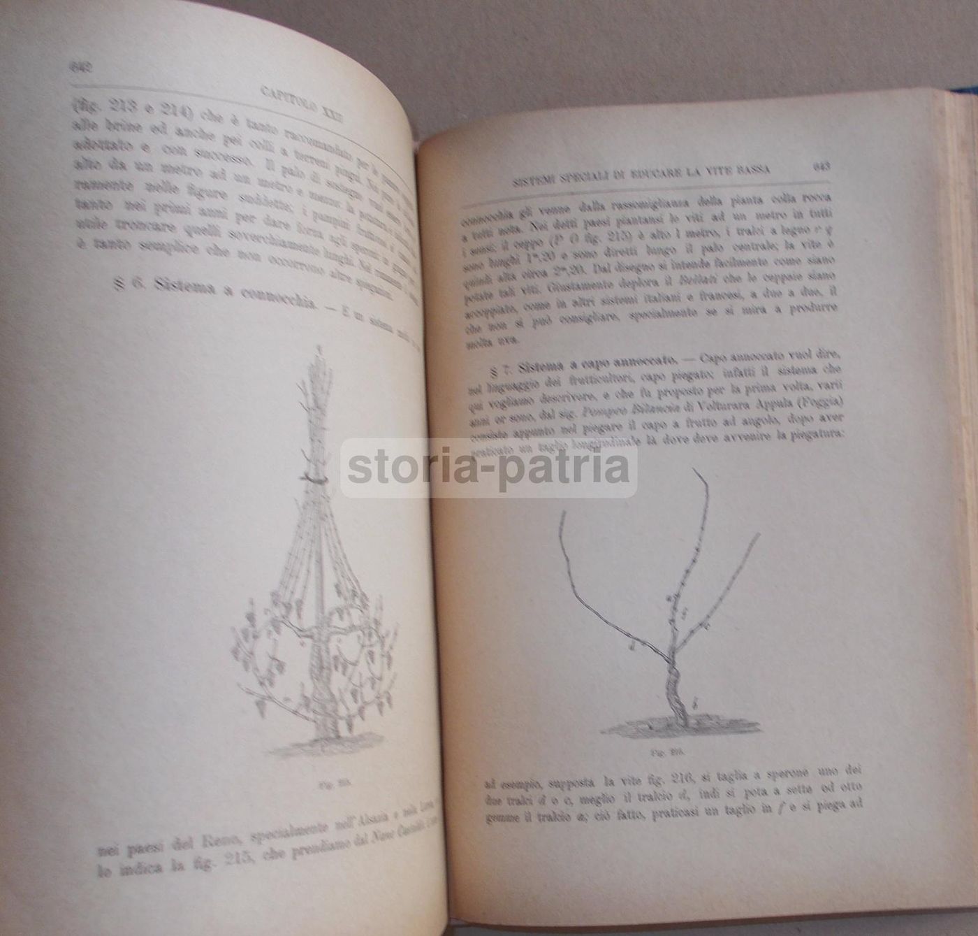 Viticoltura Teorico Pratica   Ottavio Ottavi (1885)