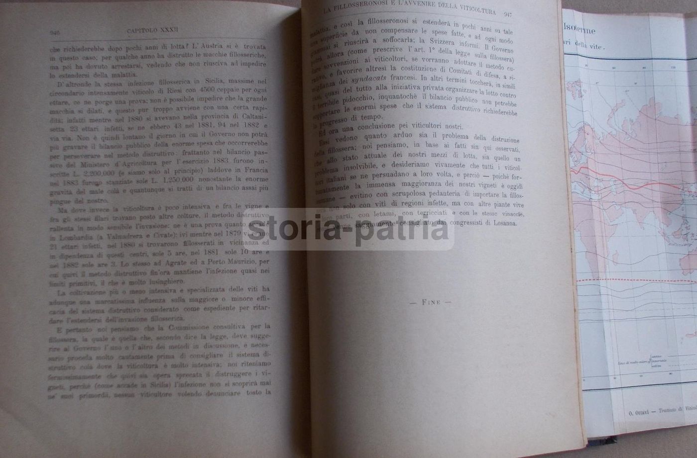 Viticoltura Teorico Pratica   Ottavio Ottavi (1885)