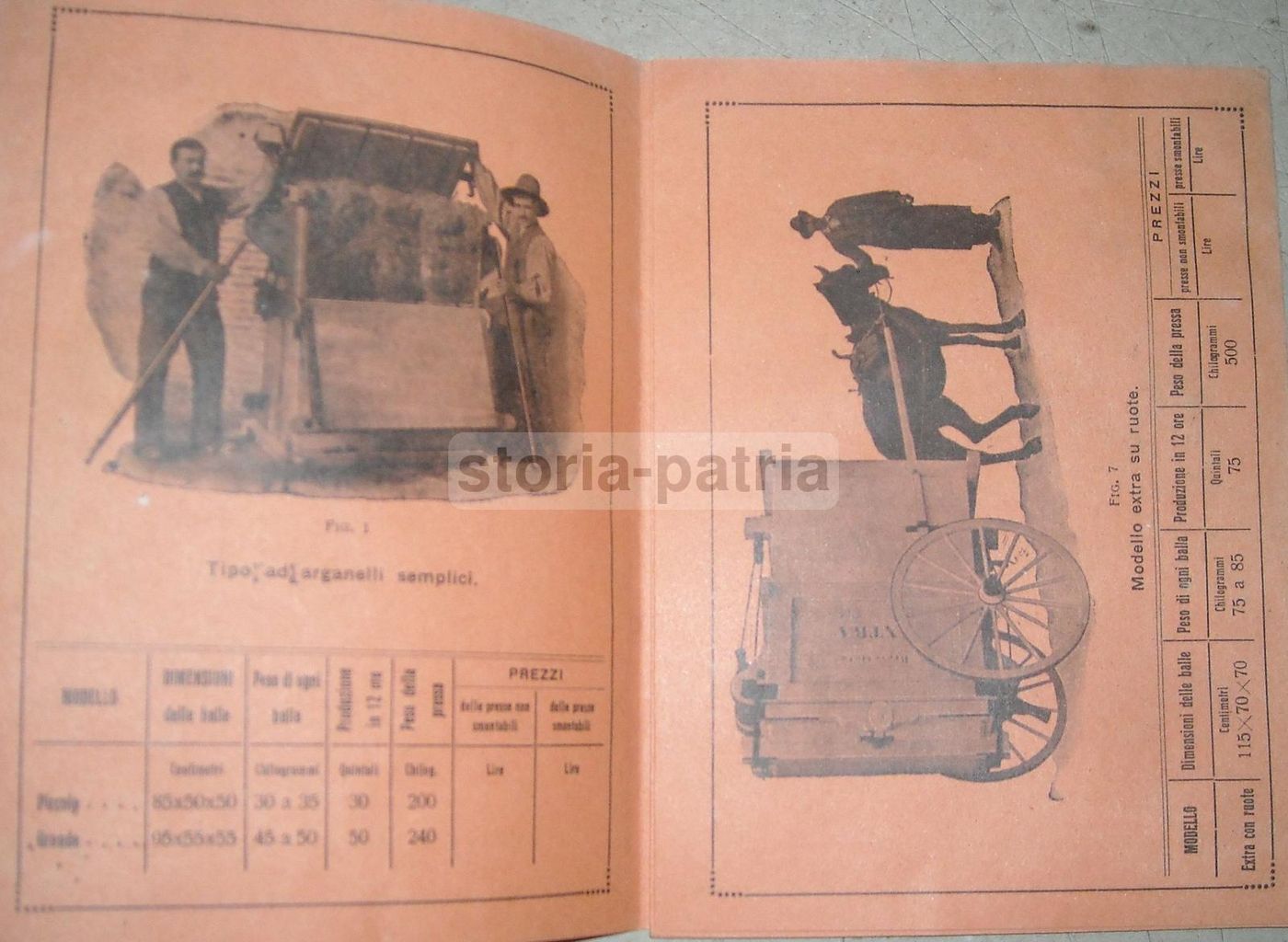Depliant Pressa Foraggi "Semplicissima" Franchini Firenze Anni '30