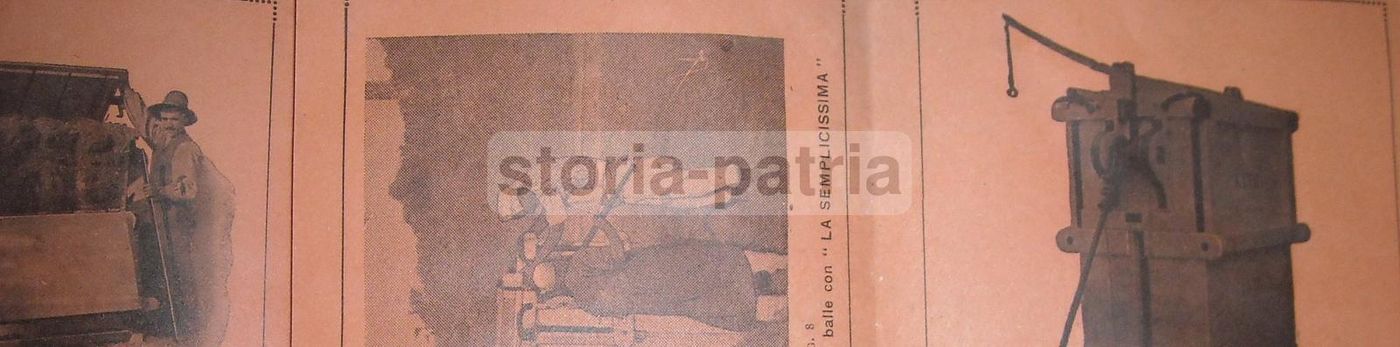 Depliant Pressa Foraggi "Semplicissima" Franchini Firenze Anni '30