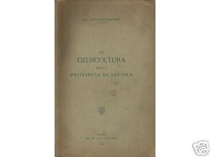 La Gelsicoltura Nella Provincia Di Ancona Corallini 1908