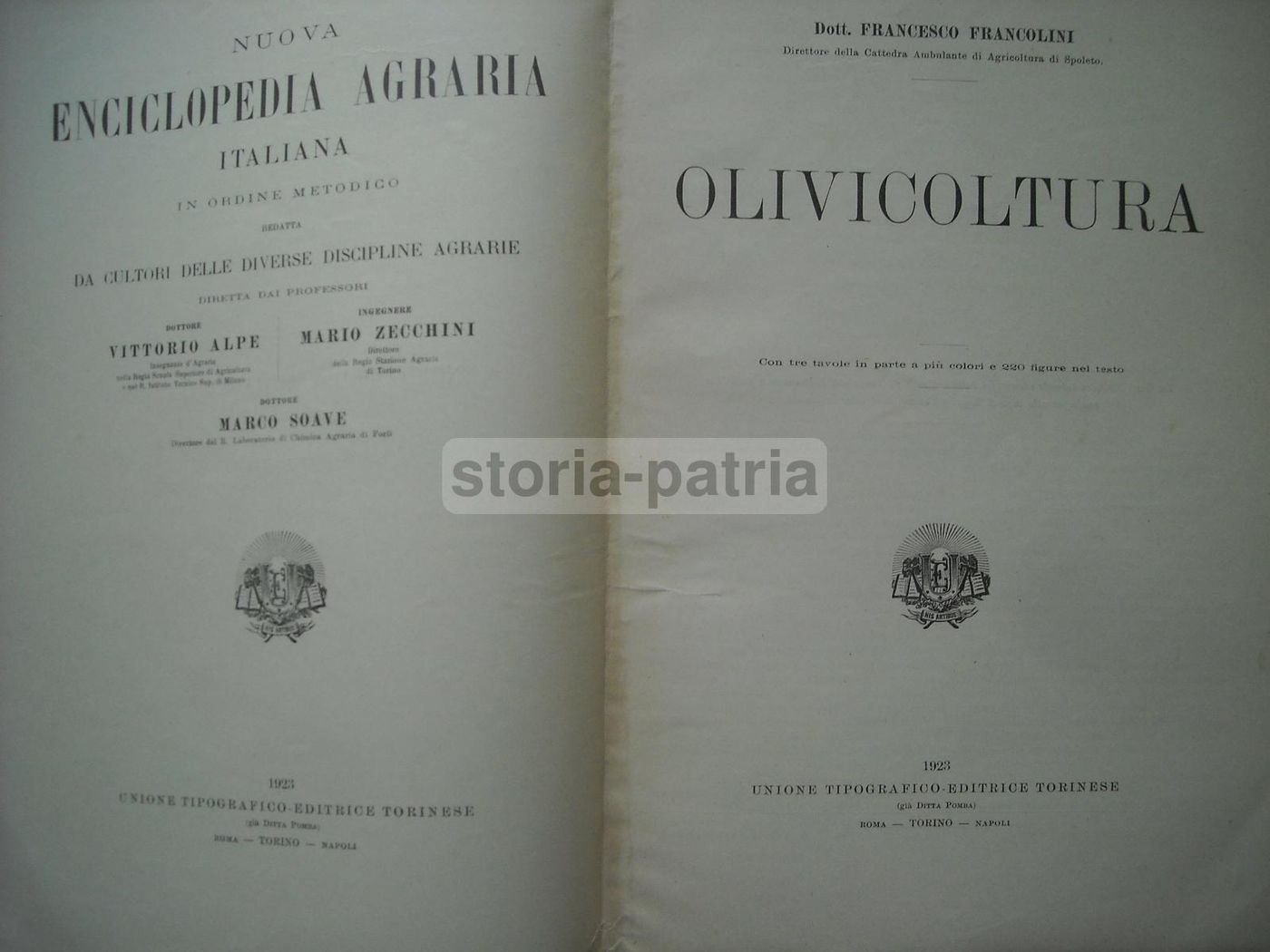 Olivicoltura. Francesco Francolini, 1922. Utet, Torino. Illustrato.
