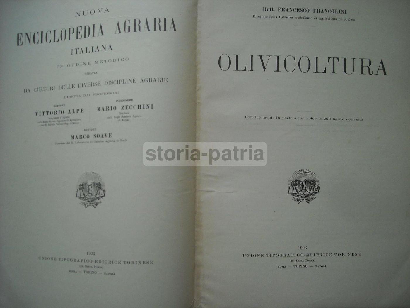 Olivicoltura. Francesco Francolini, 1922. Utet, Torino. Illustrato.