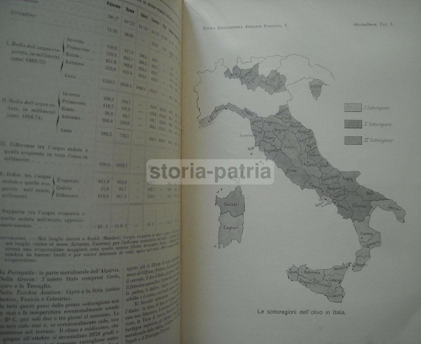 Olivicoltura. Francesco Francolini, 1922. Utet, Torino. Illustrato.
