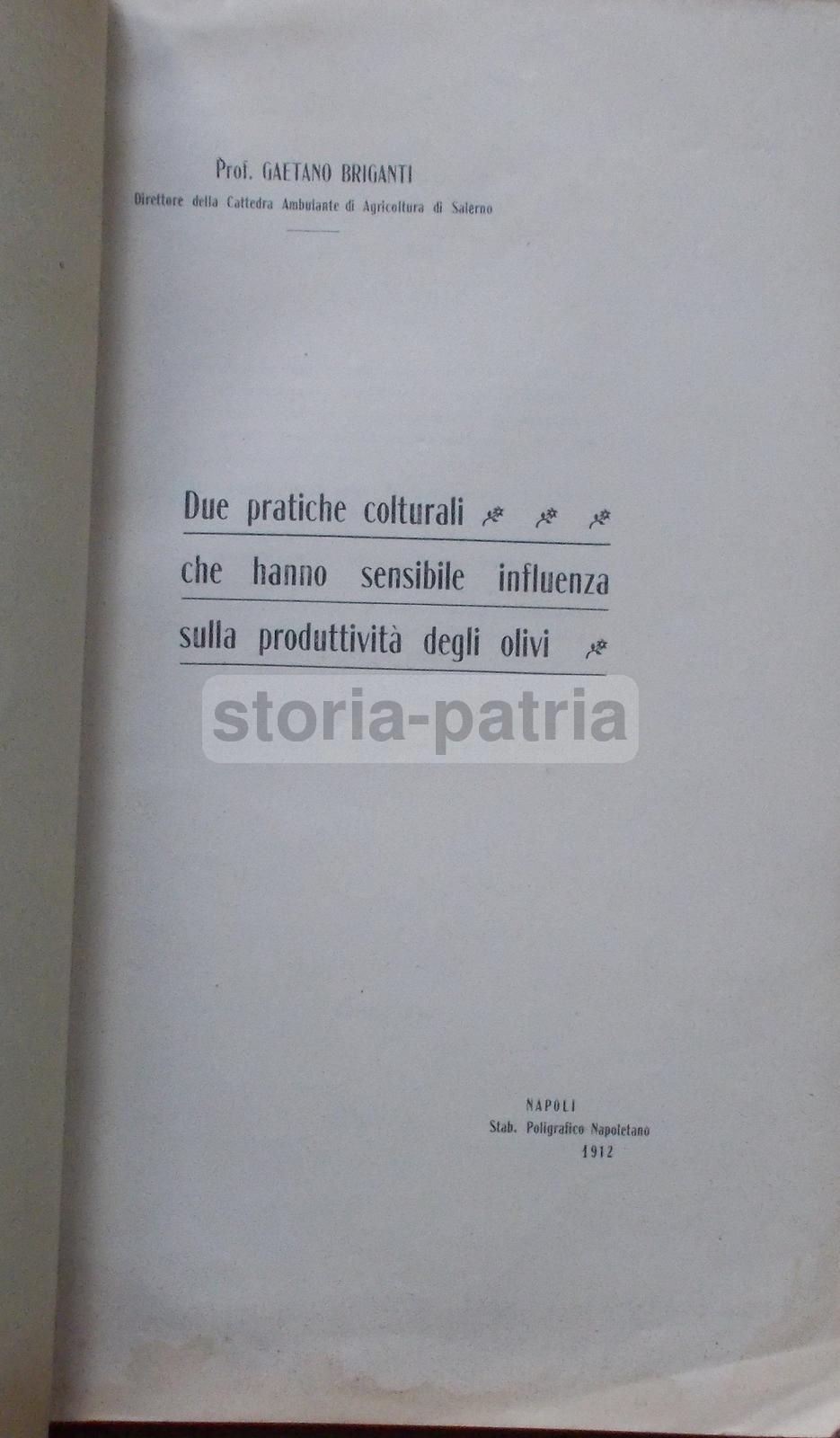 Gaetano Briganti, Due Pratiche Colturali Che Hanno Sensibile Influenza Sulla Produttività Degli Olivi (1912)