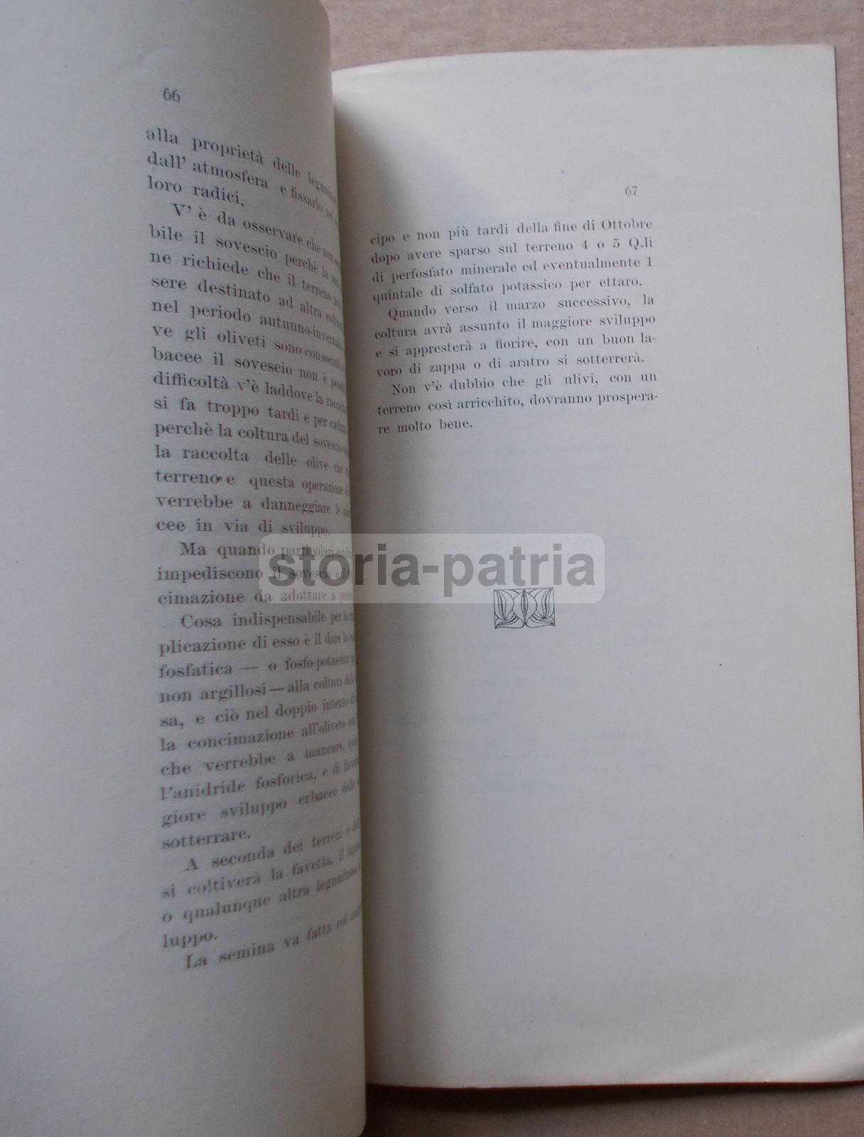 Gaetano Briganti, Due Pratiche Colturali Che Hanno Sensibile Influenza Sulla Produttività Degli Olivi (1912)