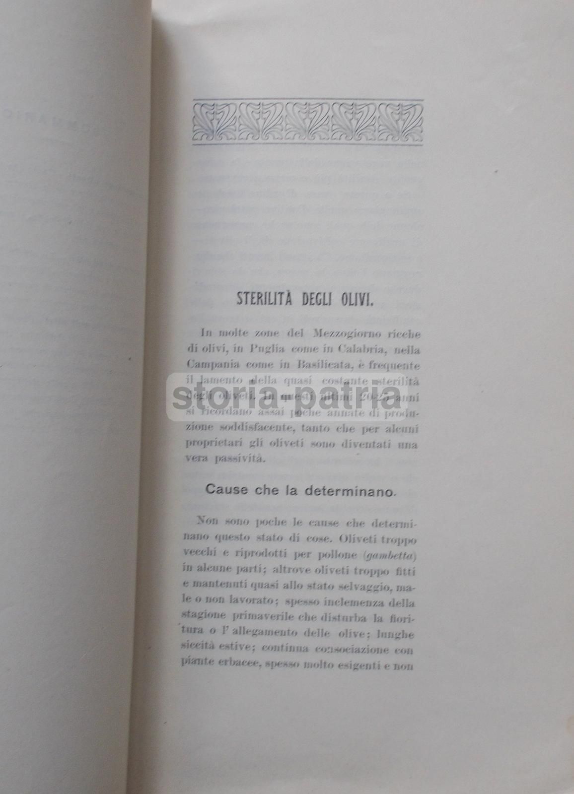 Gaetano Briganti, Due Pratiche Colturali Che Hanno Sensibile Influenza Sulla Produttività Degli Olivi (1912)
