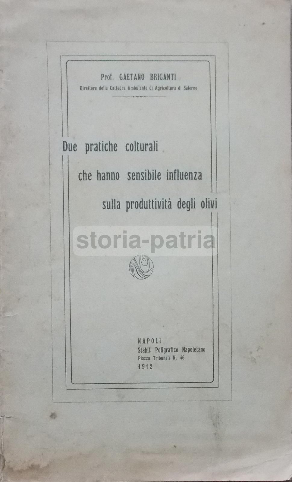 Gaetano Briganti, Due Pratiche Colturali Che Hanno Sensibile Influenza Sulla Produttività Degli Olivi (1912)
