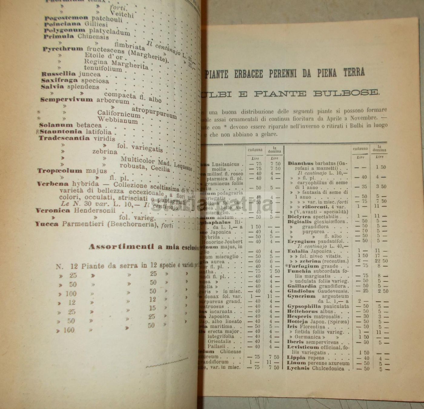 Catalogo Orticoltore Giuseppe Vittorelli, Milano 1882 1883