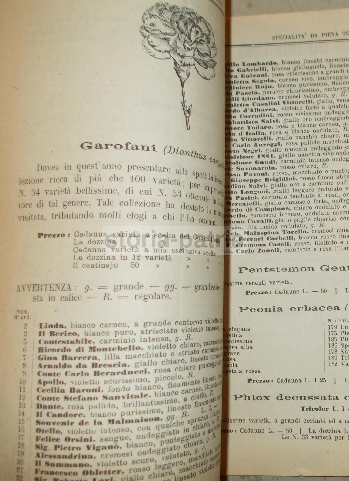 Catalogo Orticoltore Giuseppe Vittorelli, Milano 1882 1883