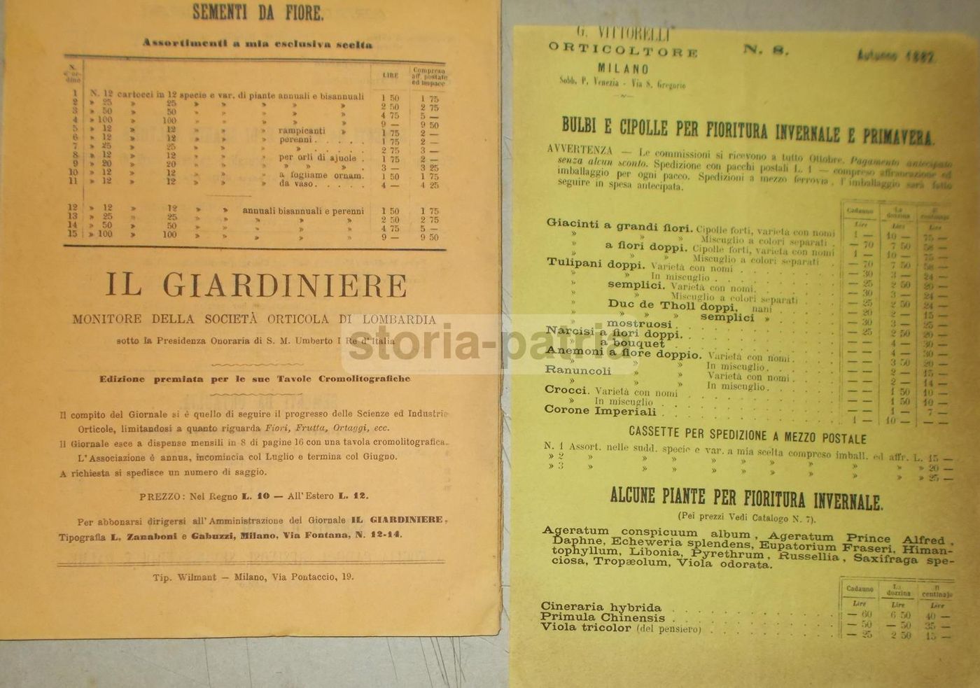 Catalogo Orticoltore Giuseppe Vittorelli, Milano 1882 1883