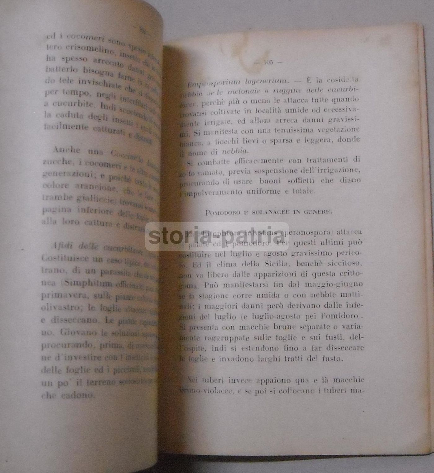 Calendario Dell'Ortolano Vagliasindi 1944 Ottavi Agricoltura