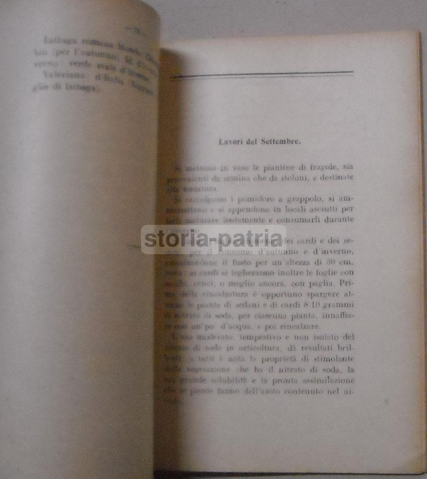 Calendario Dell'Ortolano Vagliasindi 1944 Ottavi Agricoltura