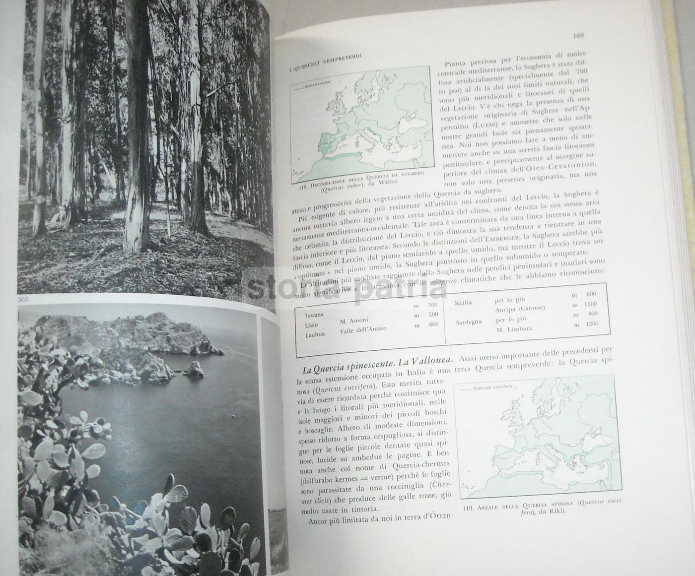 La Flora d'Italia (Touring Club Italiano, 1958)