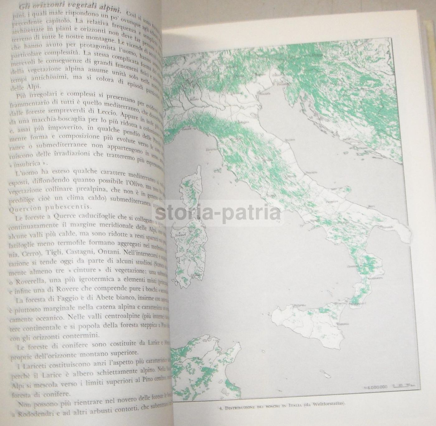 La Flora d'Italia (Touring Club Italiano, 1958)