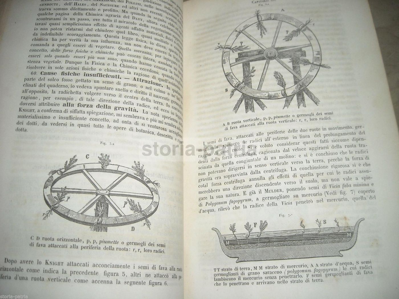Istituzioni Scientifiche E Tecniche: Carlo Berti Pichat (1851)