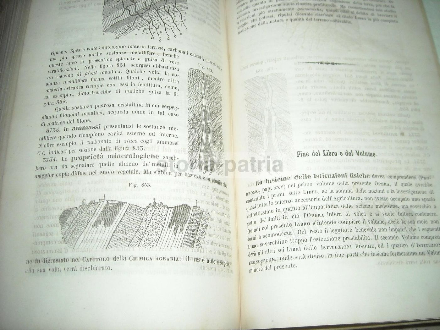 Istituzioni Scientifiche E Tecniche: Carlo Berti Pichat (1851)