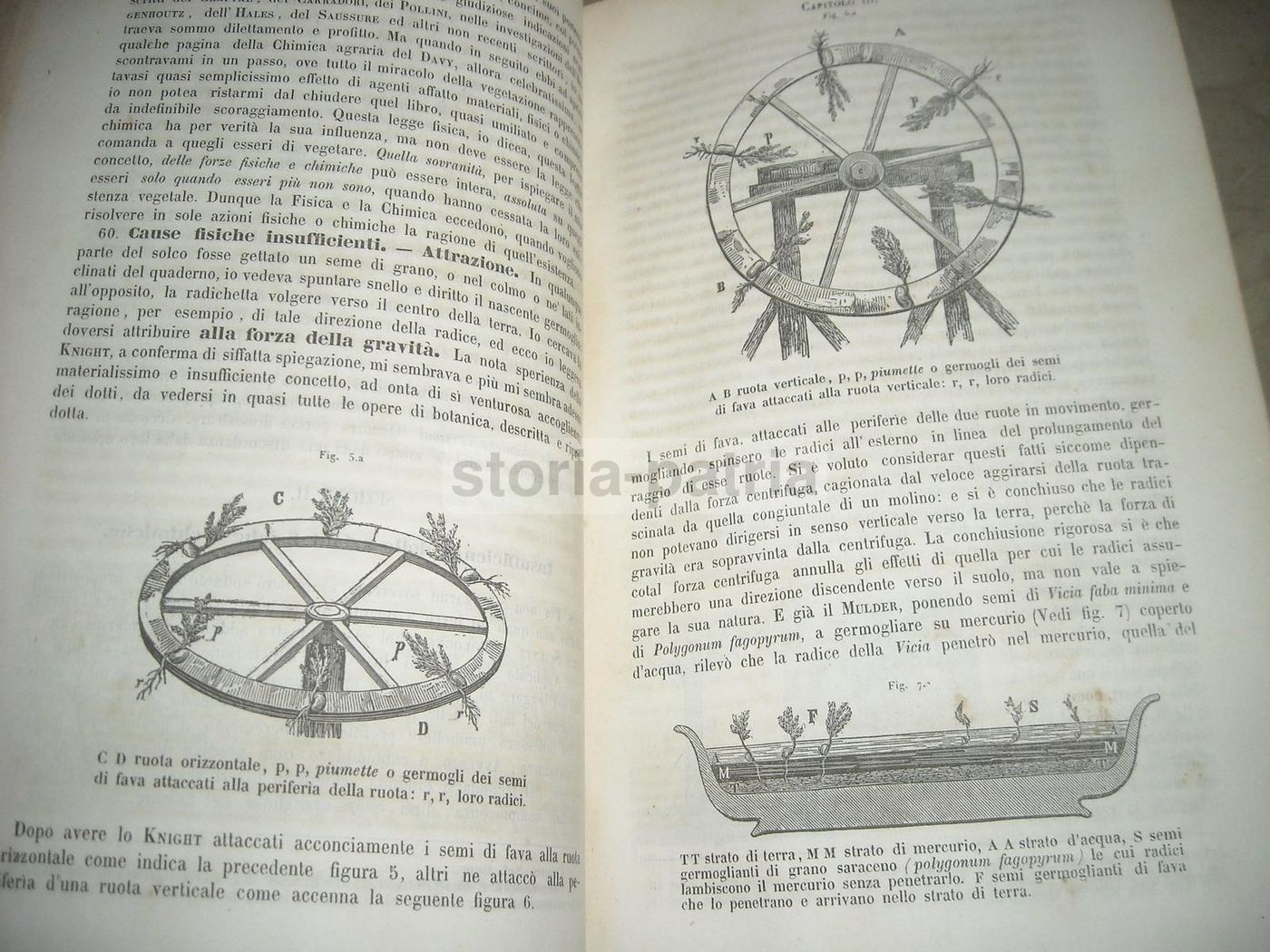 Istituzioni Scientifiche E Tecniche: Carlo Berti Pichat (1851)