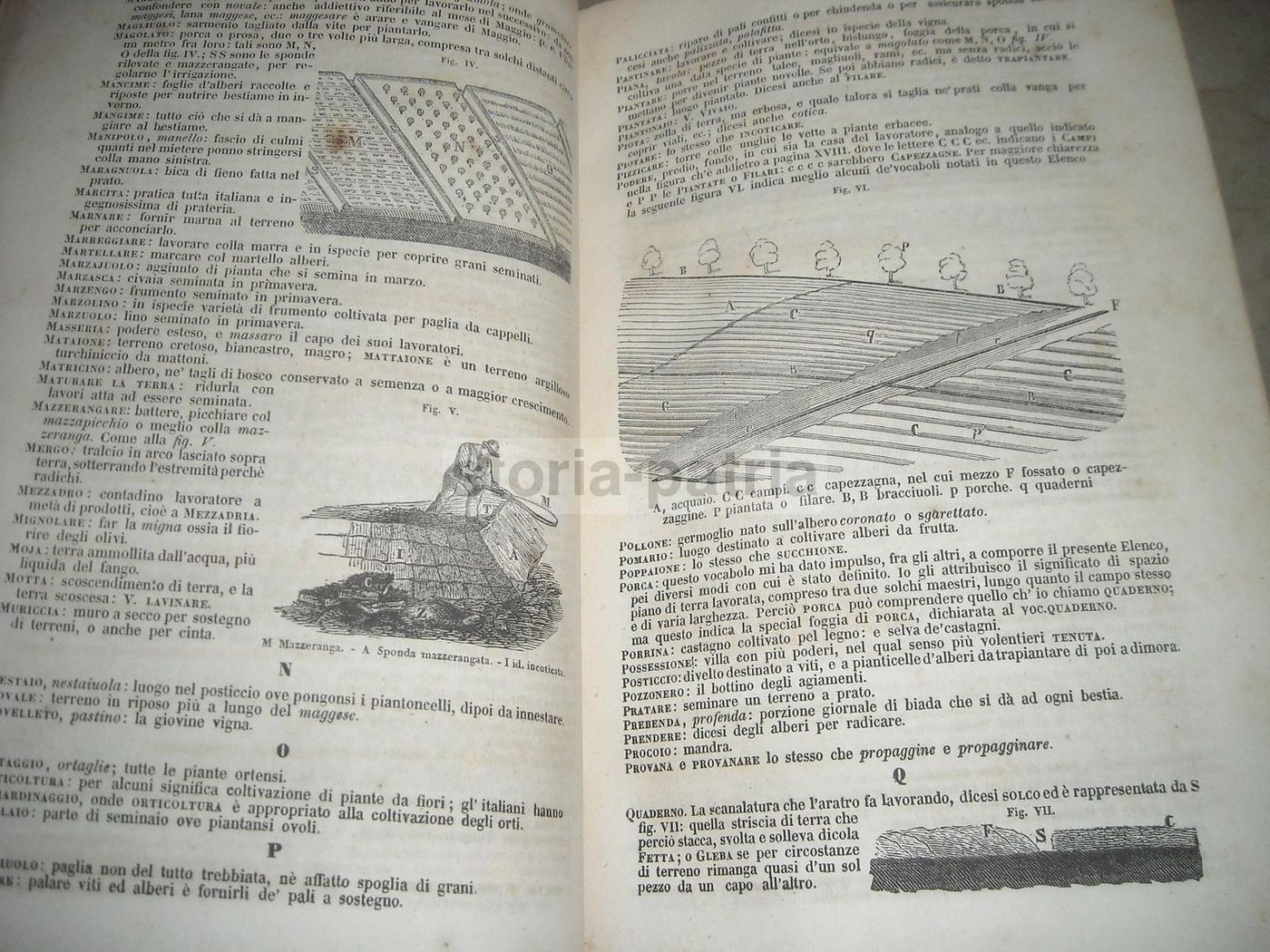 Istituzioni Scientifiche E Tecniche: Carlo Berti Pichat (1851)