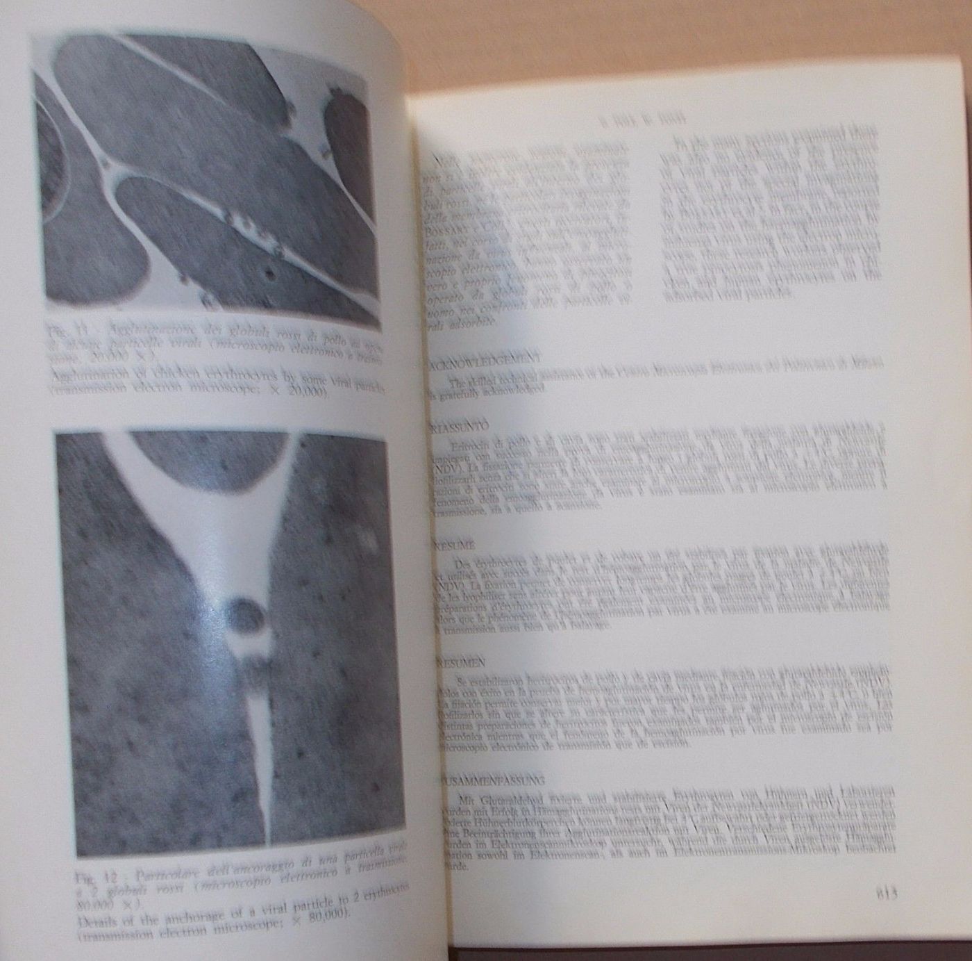 Folia Veterinaria Latina Vol. IV 1974 Rivista Medicina Veterinaria