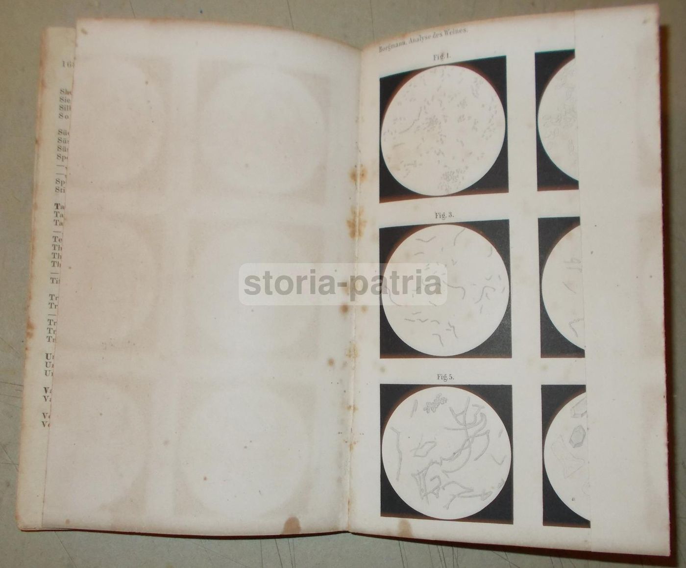 Analisi Del Vino: Borgmann E Fresenius (1884)   Enologia E Chimica