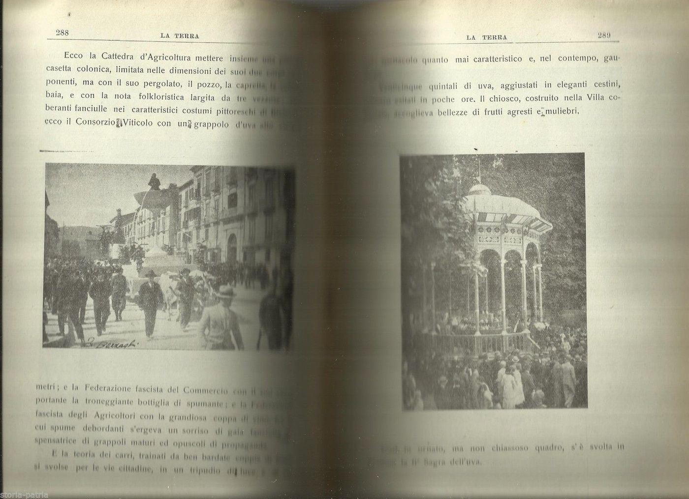 La Terra: Rivista Di Agricoltura, Avellino 1931   Festa Dell'Uva Irpinia