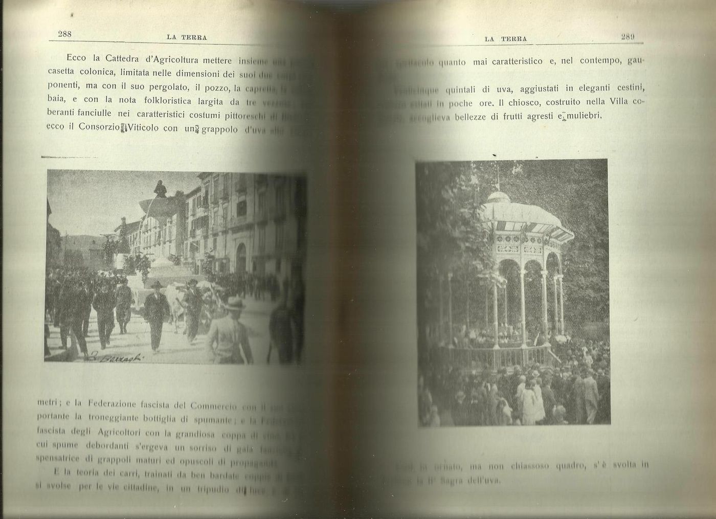 La Terra: Rivista Di Agricoltura, Avellino 1931   Festa Dell'Uva Irpinia