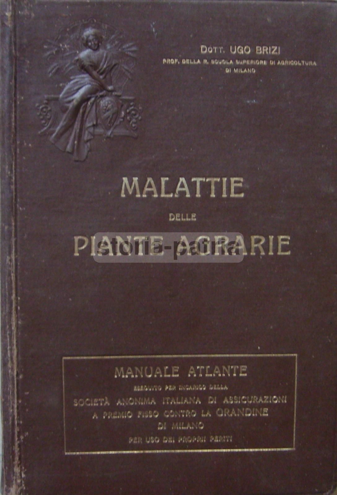 Malattie Delle Piante Agrarie. Manuale Atlante Con XLVIII Tavole A Colori. Ugo Brizi, 1919