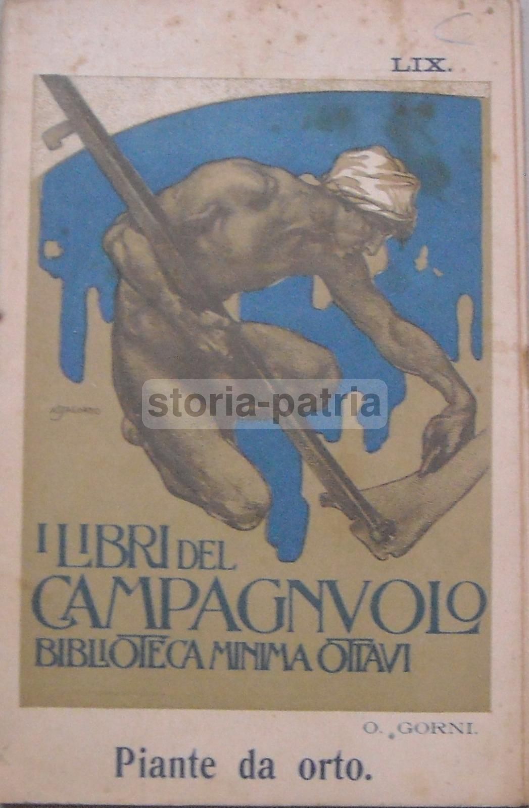 Piante Da Orto: O. Gorni (1911). Agricoltura E Orticoltura, Cassone