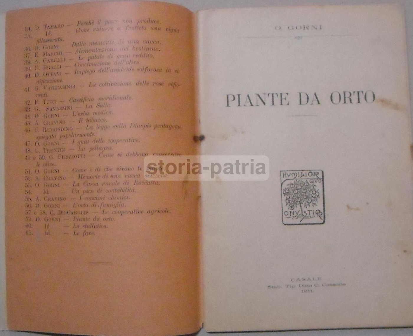 Piante Da Orto: O. Gorni (1911). Agricoltura E Orticoltura, Cassone