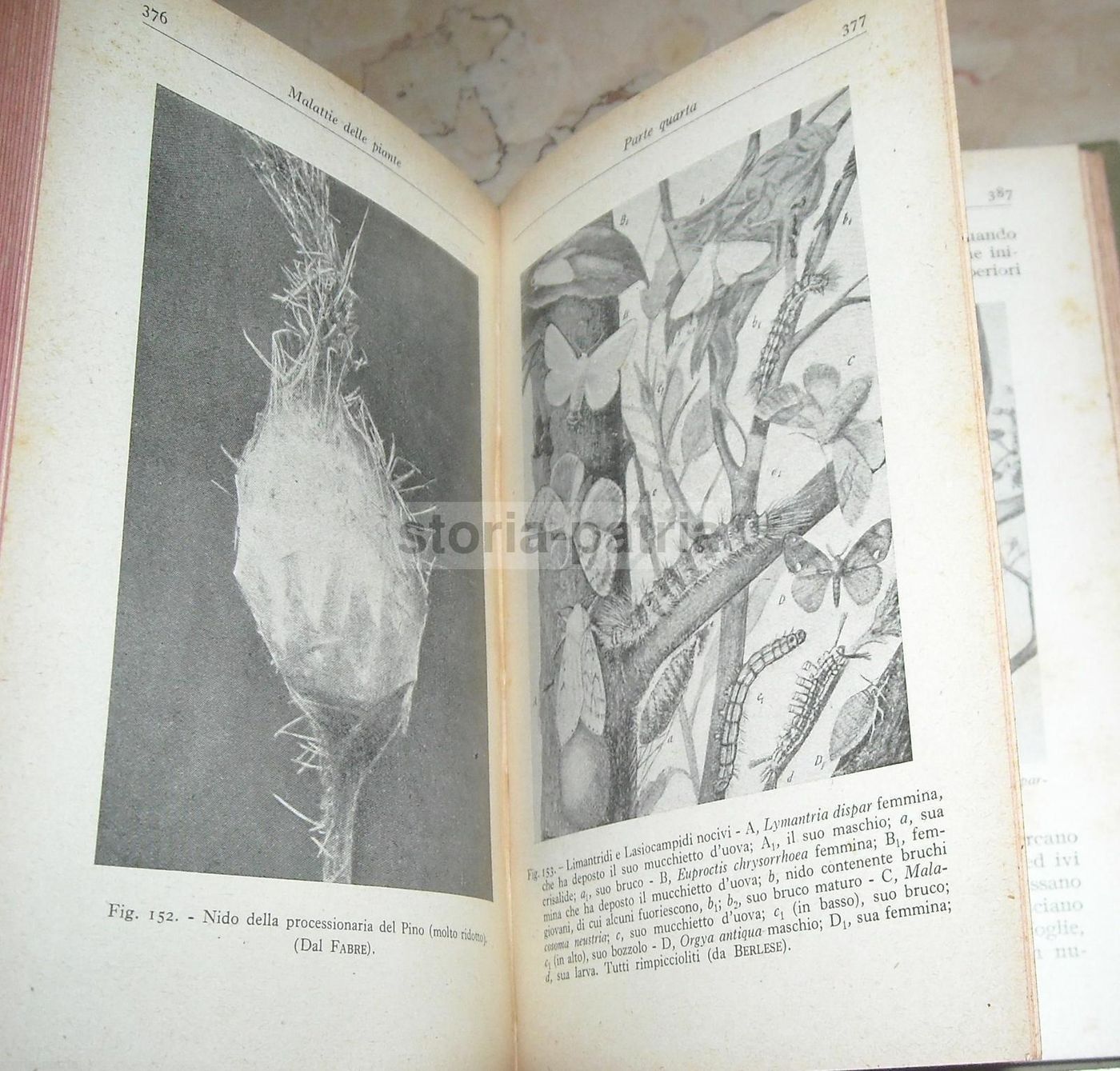 Malattie Delle Piante, A. Beraldi, Hoepli, 1929